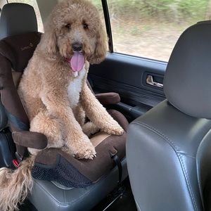 Meet your Posher, Kelli